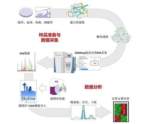 專注蛋白質(zhì)組與代謝組技術(shù)服務(wù)，拜譜生物完成千萬元級(jí)Pre-A輪融資